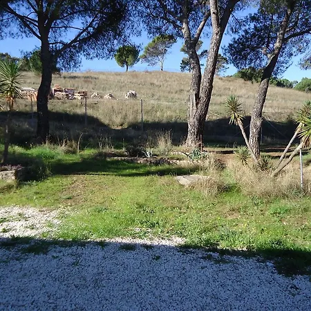 Holiday home El Brigadier Cordoba